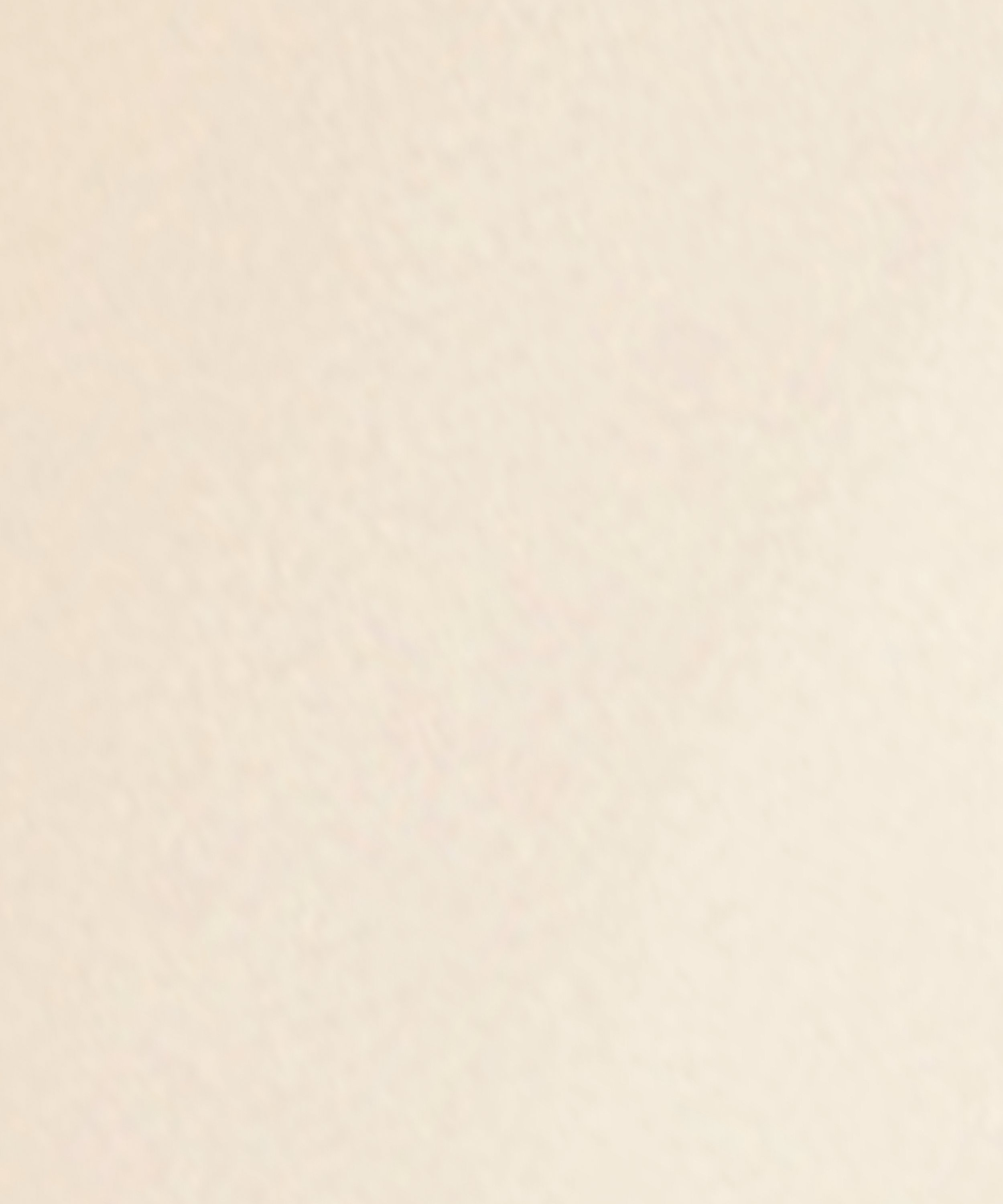 Phyto-Lip Balm 3g